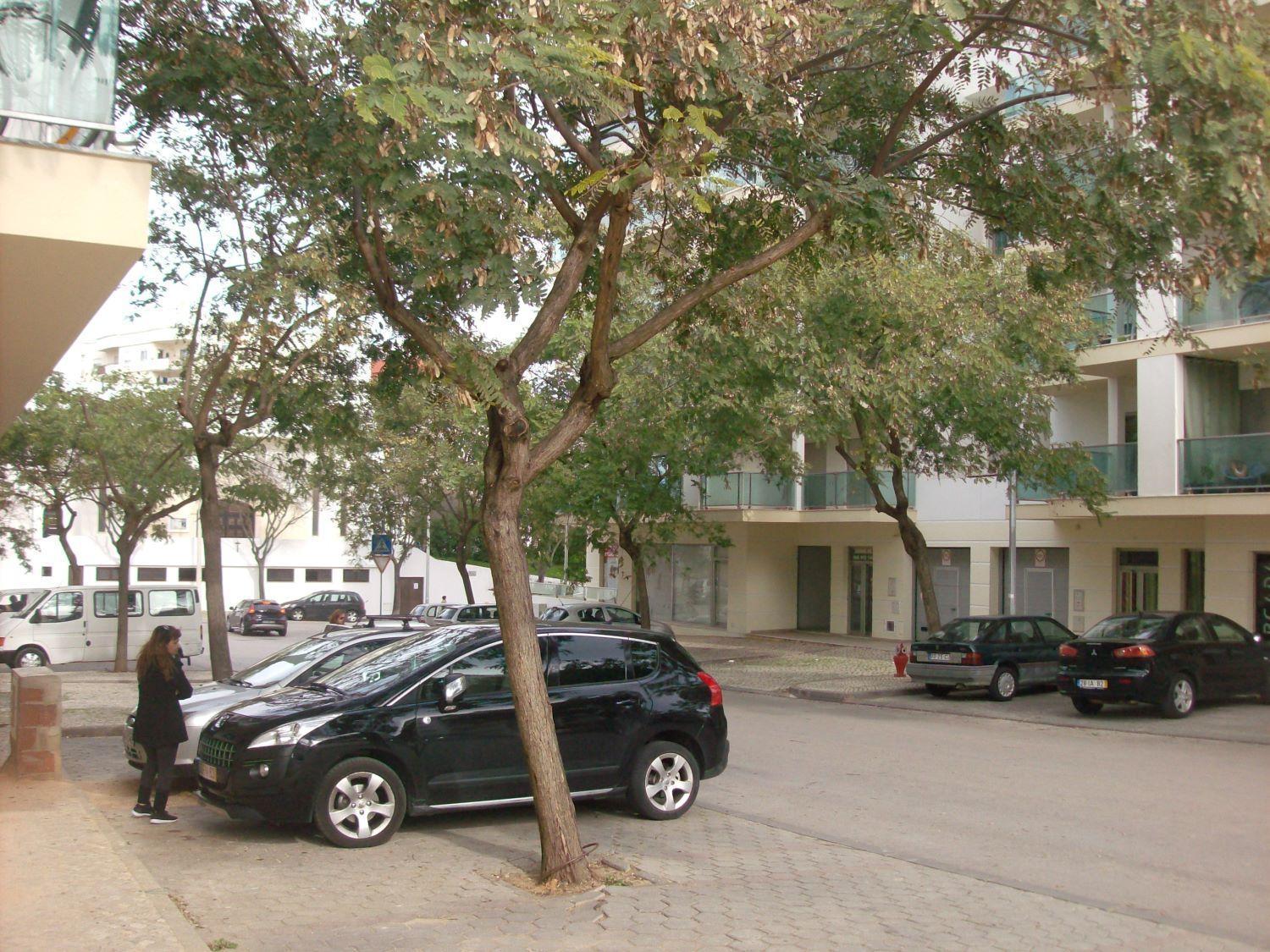 Appartement Pinheiro Portimão Extérieur photo